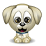 dog.gif