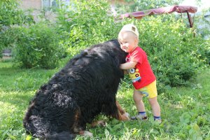 IMG_3190.JPG
