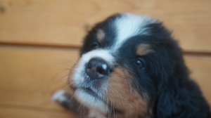 DSC00175.JPG