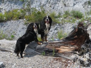 PicsArt_1503467541065.jpg