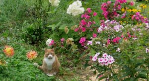 DSC04578.JPG