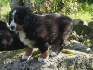 IMG_20170908_201312.jpg