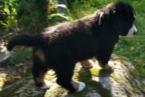 IMG_20170908_200855.jpg