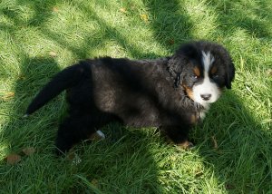 IMG_20170908_200741.jpg
