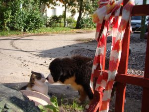 DSC04568.JPG