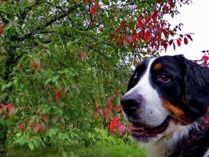 IMG_2056.jpg