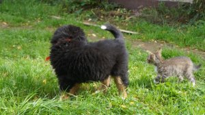 DSC00045к.JPG