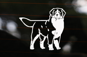 388.png