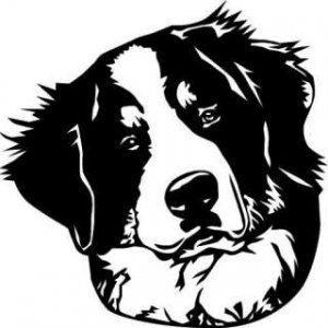 134653942_bernese-mountain-berner-sennenhund-20cm-autoaufkleber.jpg