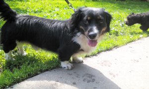 2015-05-24 09-37-53.JPG