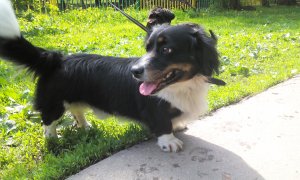 2015-05-24 09-38-00.JPG
