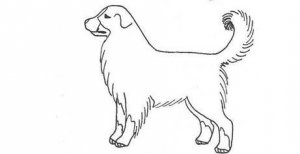 103.jpg