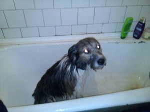 IMG-20171129-WA0005.jpg