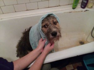 IMG-20171129-WA0008.jpg