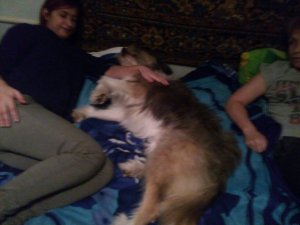 IMG-20171129-WA0006.jpg