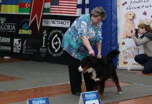 IMG_7463.JPG