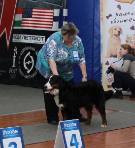 IMG_7466.JPG