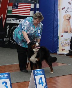 IMG_7468.JPG