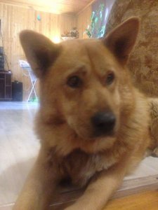 IMG-20171203-WA0013.jpg