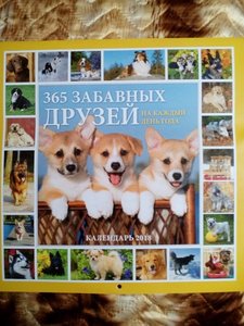 IMG_20171211_115645.jpg