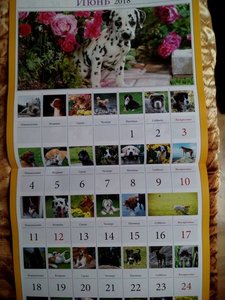 IMG_20171211_115901.jpg