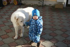 IMG_5087.JPG