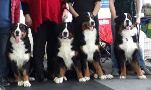 image-0-02-03-d1e1d59d5770335853be30b4ab4b1b41d6ca7d79a7d5f551204146e63e410743-V.jpg