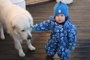 2017-11-09 11-47-03.JPG
