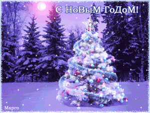 20.gif