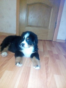 IMG_20171229_063807.jpg