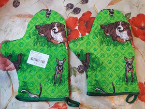20171202_144519.jpg