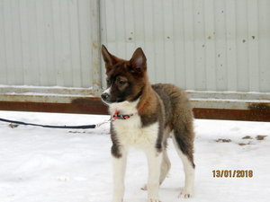 IMG_1140.JPG