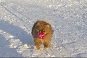 DSC03707д.jpg