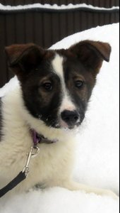 IMG_5037-14-01-18-13-37.jpg
