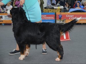 айка1.jpg