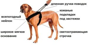 0E3458DF-F6D4-4DB3-9CF1-5108B090C4DD.jpeg