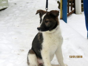 IMG_1145.JPG