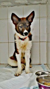 27544788_1794164343936158_5115806826789163665_n.jpg
