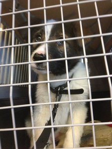 26055728_140841196696022_618359727573279854_n.jpg