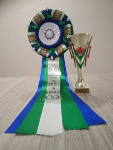 27750870_1721451881227603_409080025989771820_n.jpg