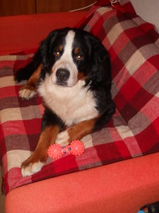 DSCN3589.JPG