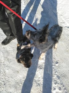 IMG_20180308_101121.jpg