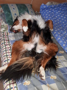 20180228_094349.jpg