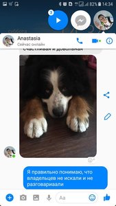 мытищи2.jpg