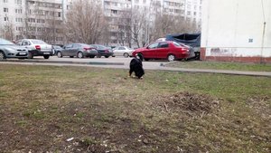 потеряшка Москва2.jpg
