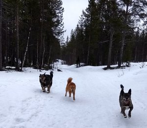 IMG_20180426_093341_HDR.jpg
