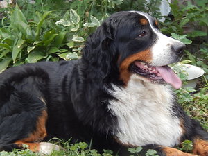DSCN1328.JPG