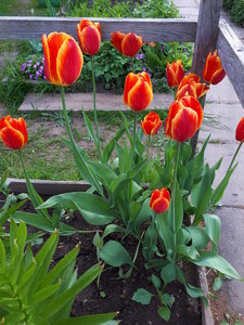 20180516_170637.jpg