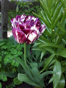20180516_170912.jpg