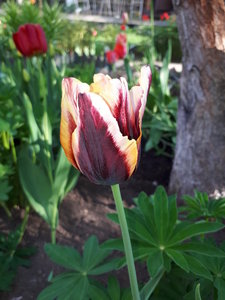 20180516_171032.jpg